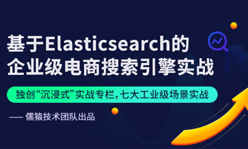 ElasticSearch 企业级架构高阶课程